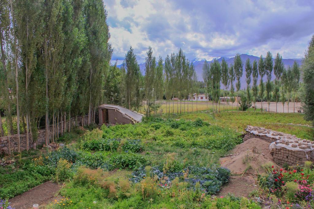 לה Tsetan Guest House מראה חיצוני תמונה